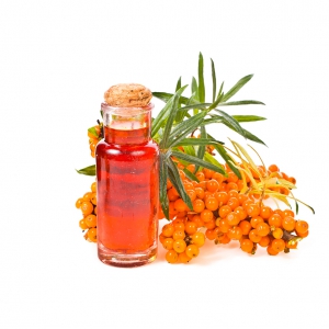 אובליפיחה (Seabuckthorn)